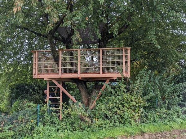 Plattform im Kirschbaum